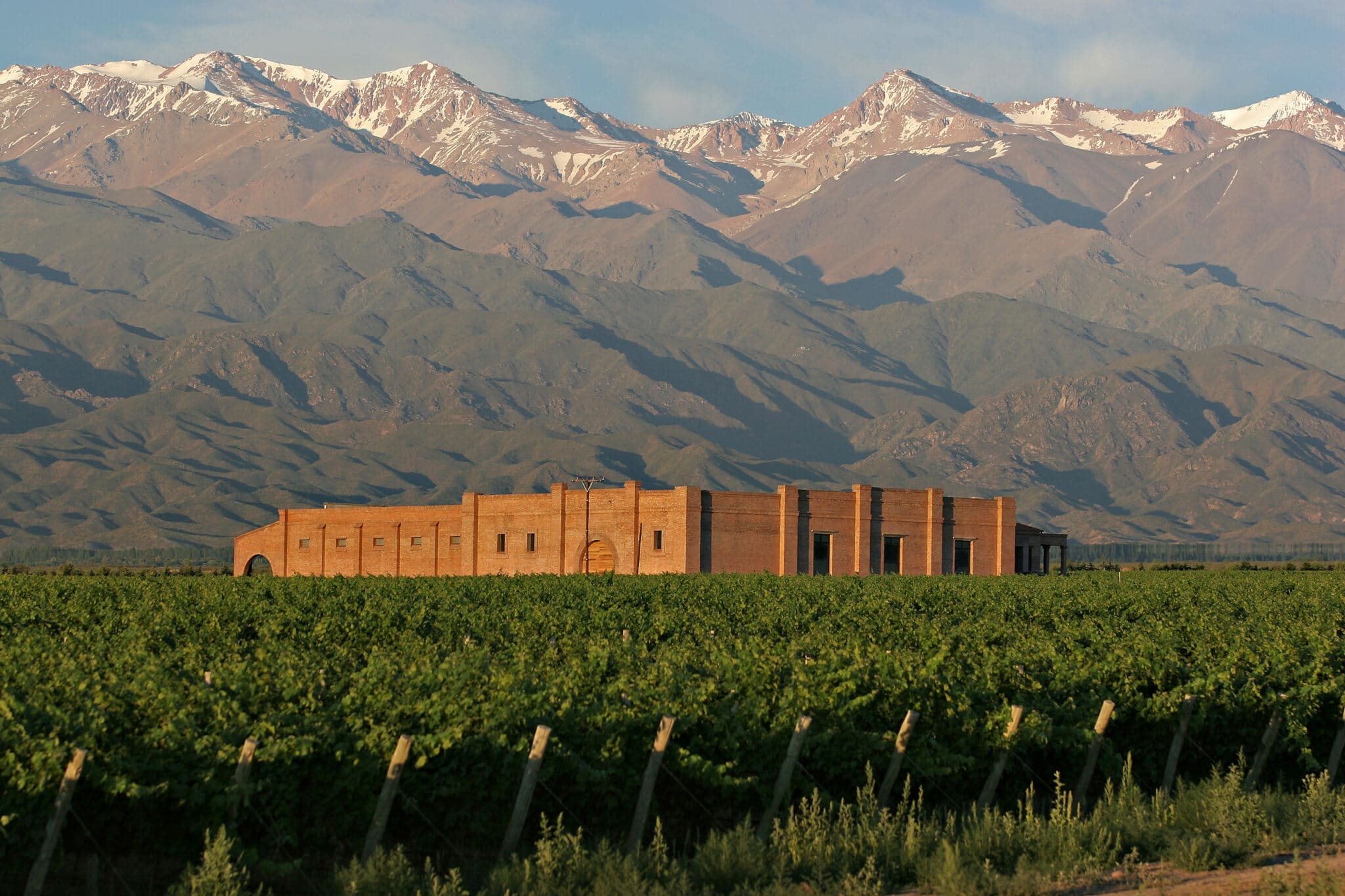 Se vores udvalg af vine fra Mendoza
