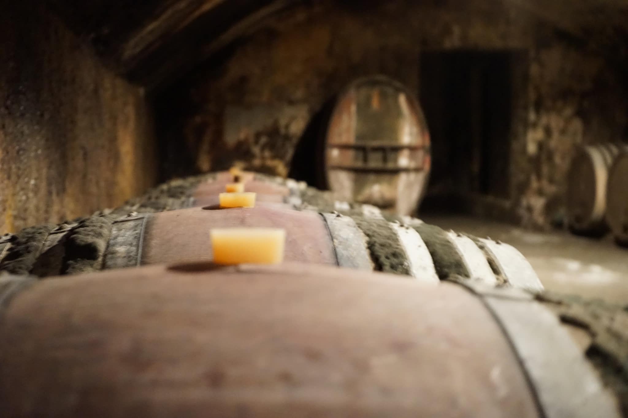 Se vores udvalg af vine fra Rhône