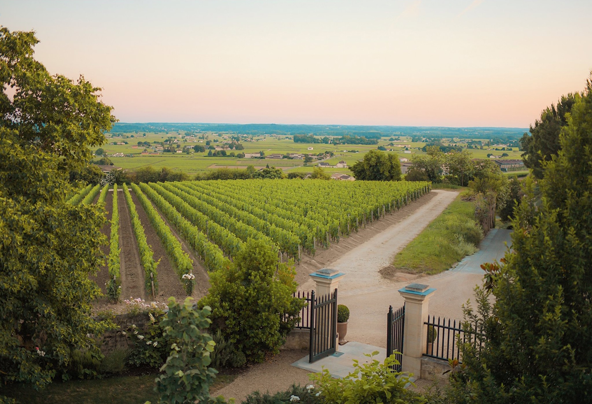 Se vores udvalg af vine fra Saint-Emilion