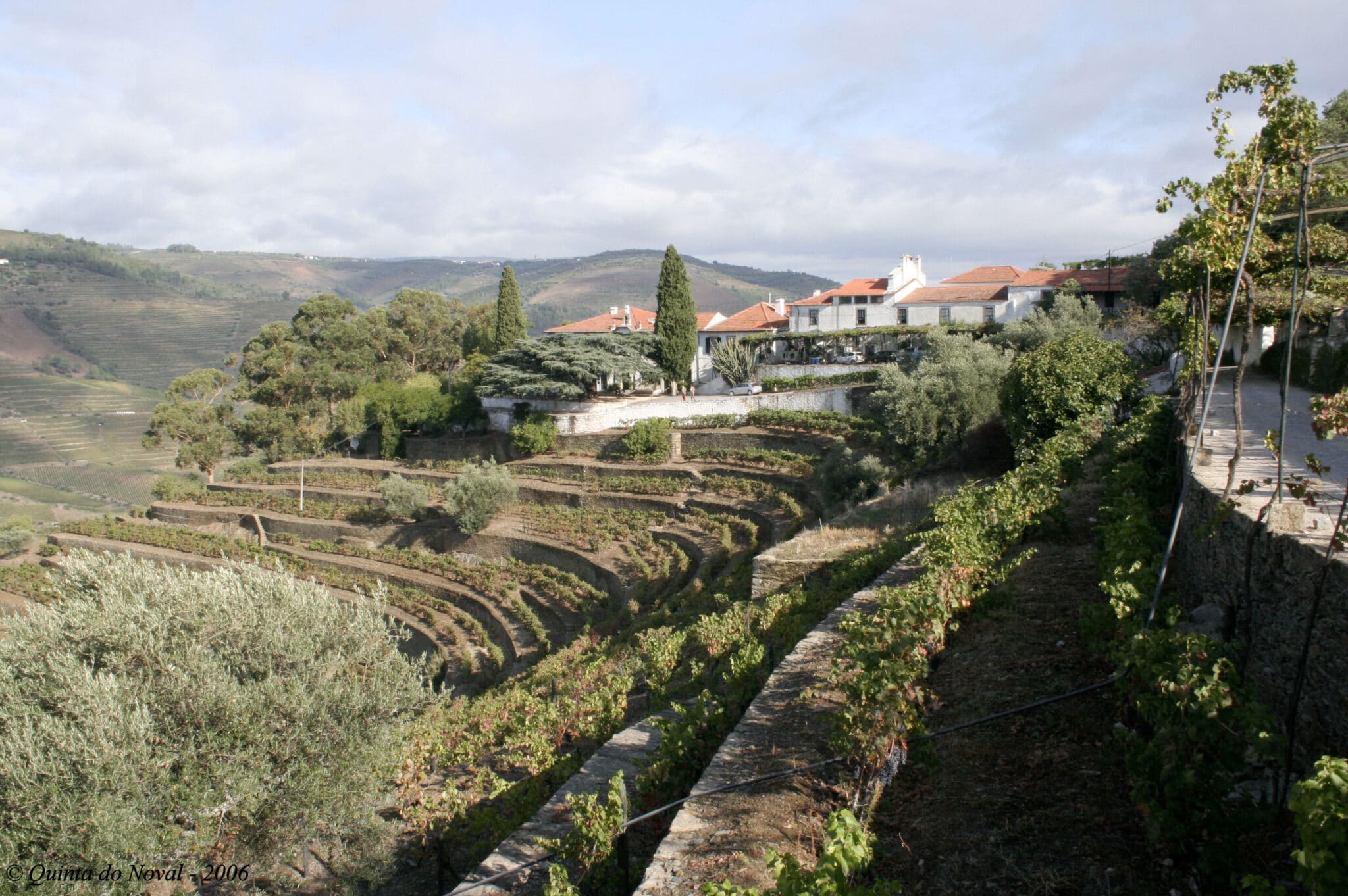 Se vores udvalg af vine fra Douro Valley