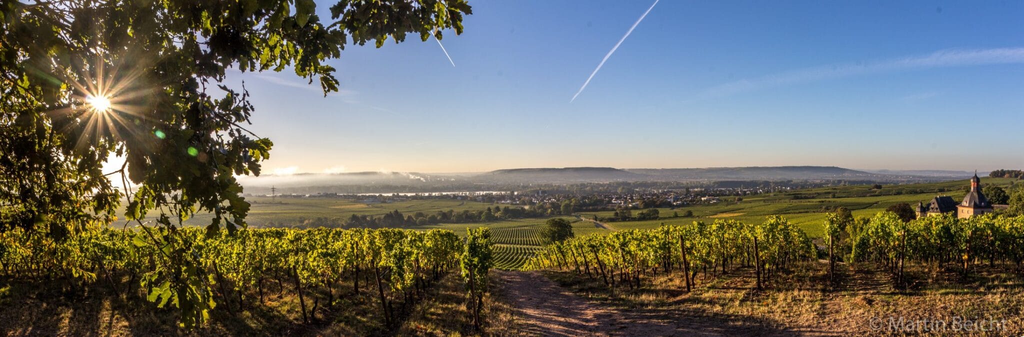 Se vores udvalg af vine fra Rheingau