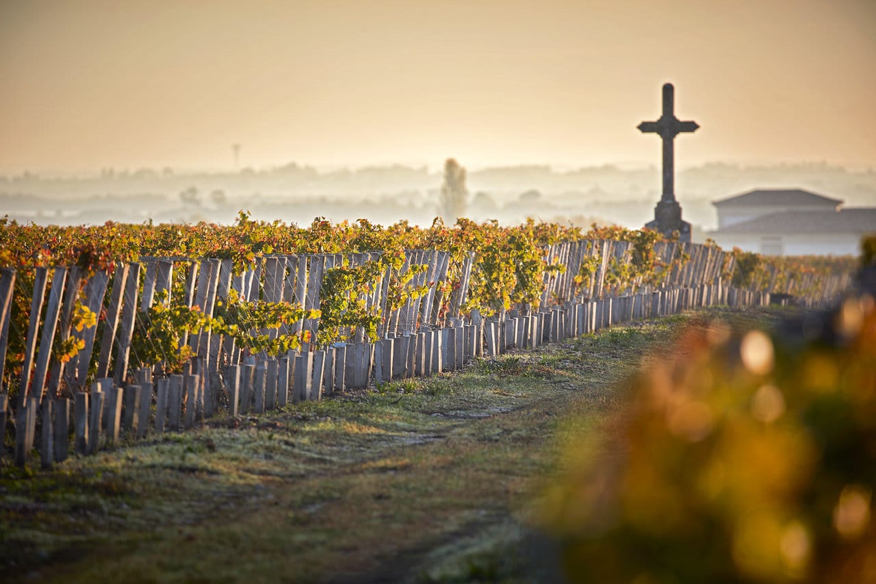 Se vores udvalg af vine fra Pauillac