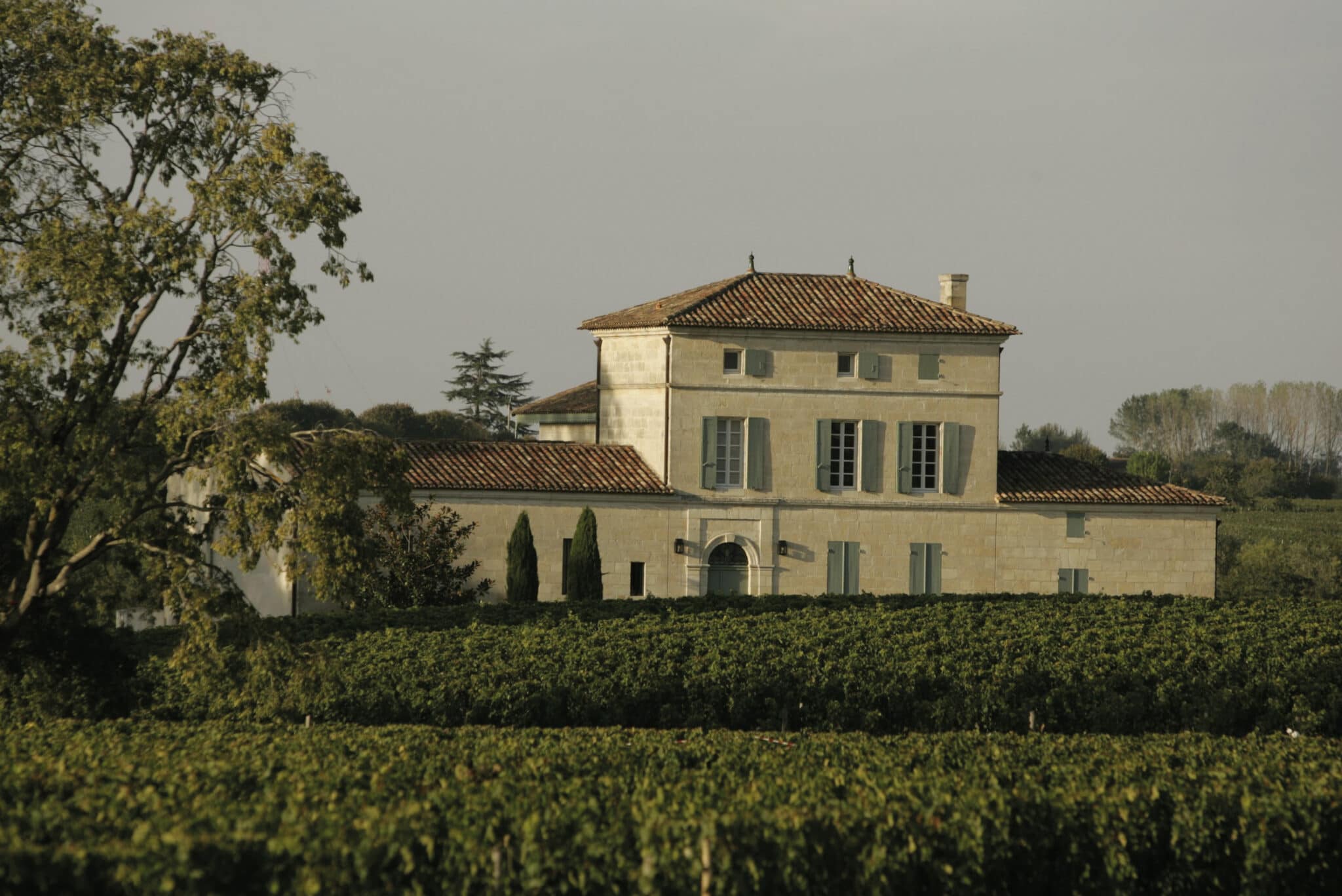 Se vores udvalg af vine fra Pomerol