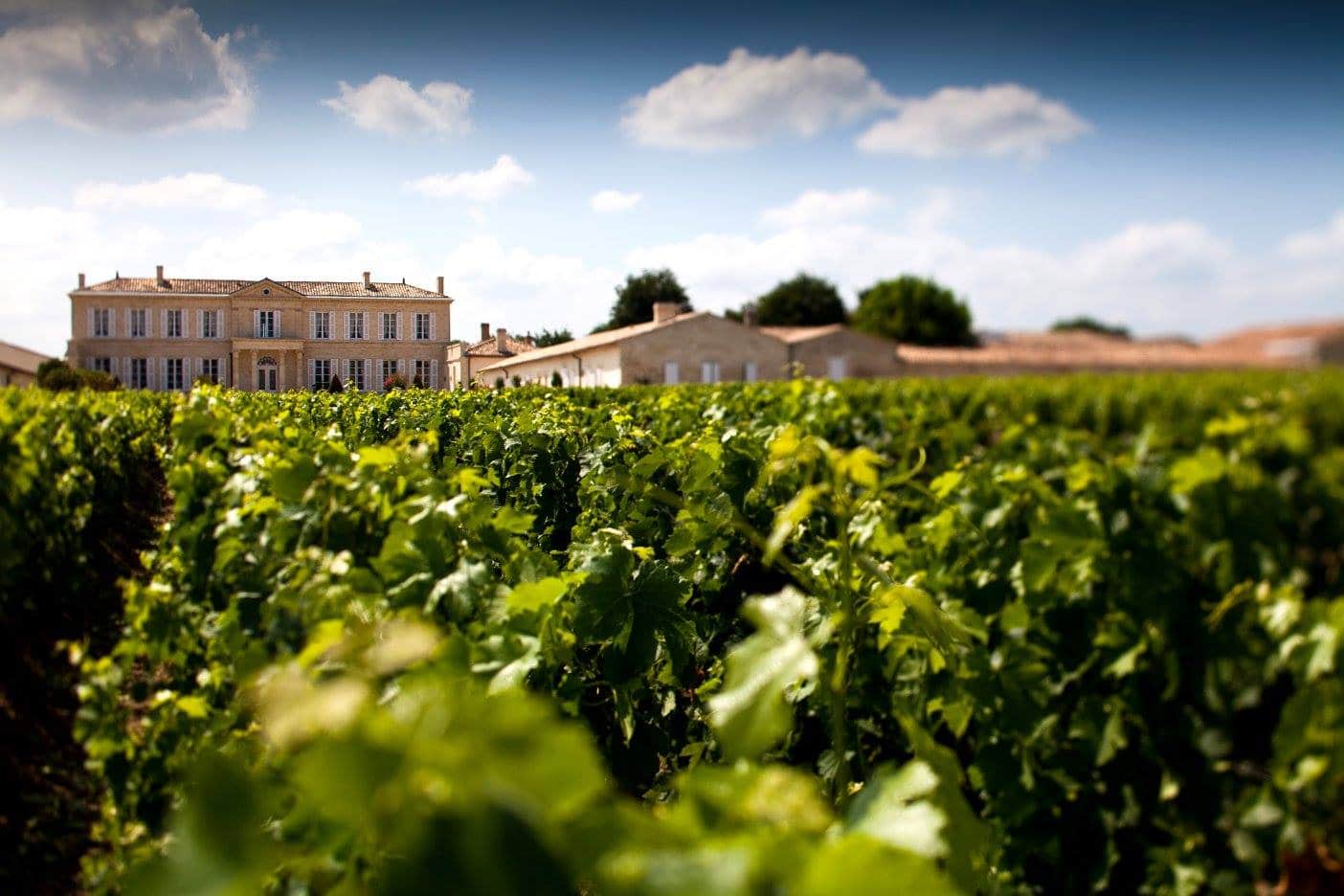 Se vores udvalg af vine fra Saint-Julien
