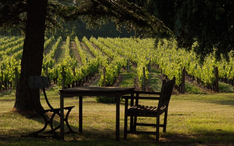 Se vores udvalg af vine fra Lalande de Pomerol
