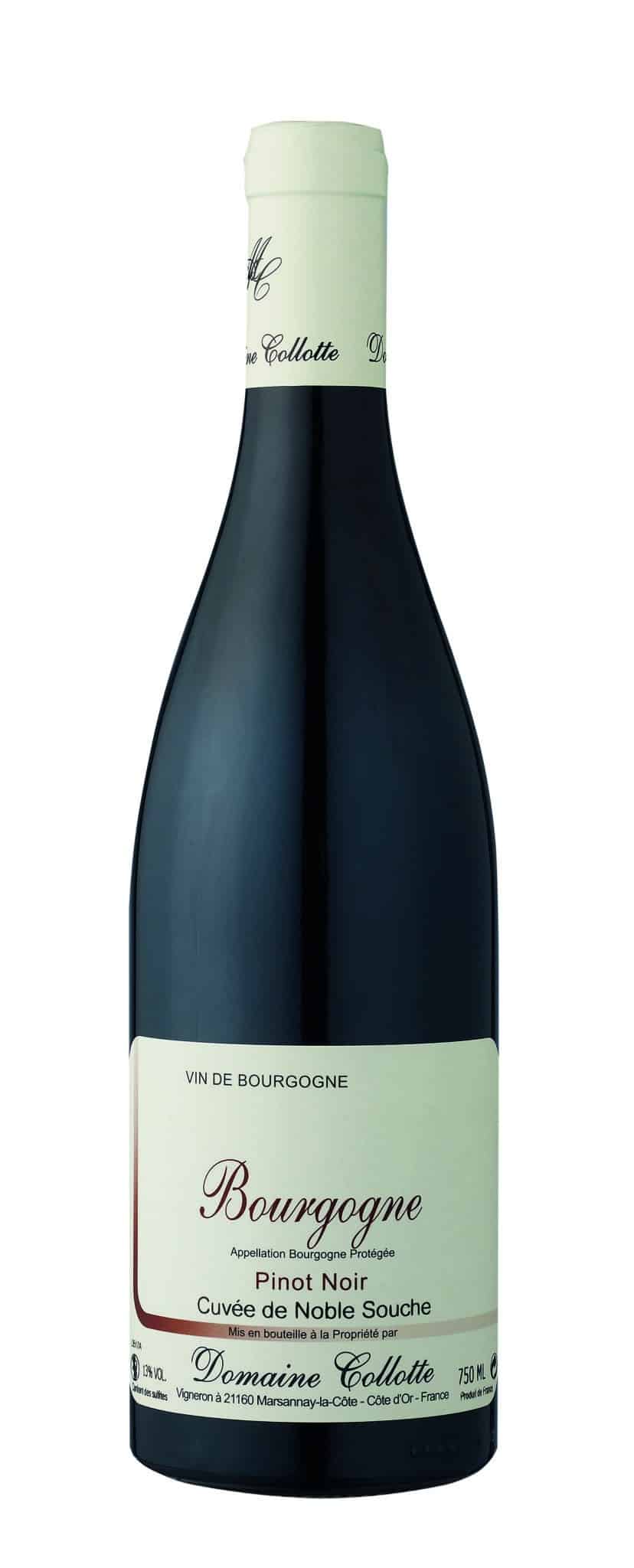 Domaine Collotte, Bourgogne Pinot Noir ”Noble Souche” 2023
